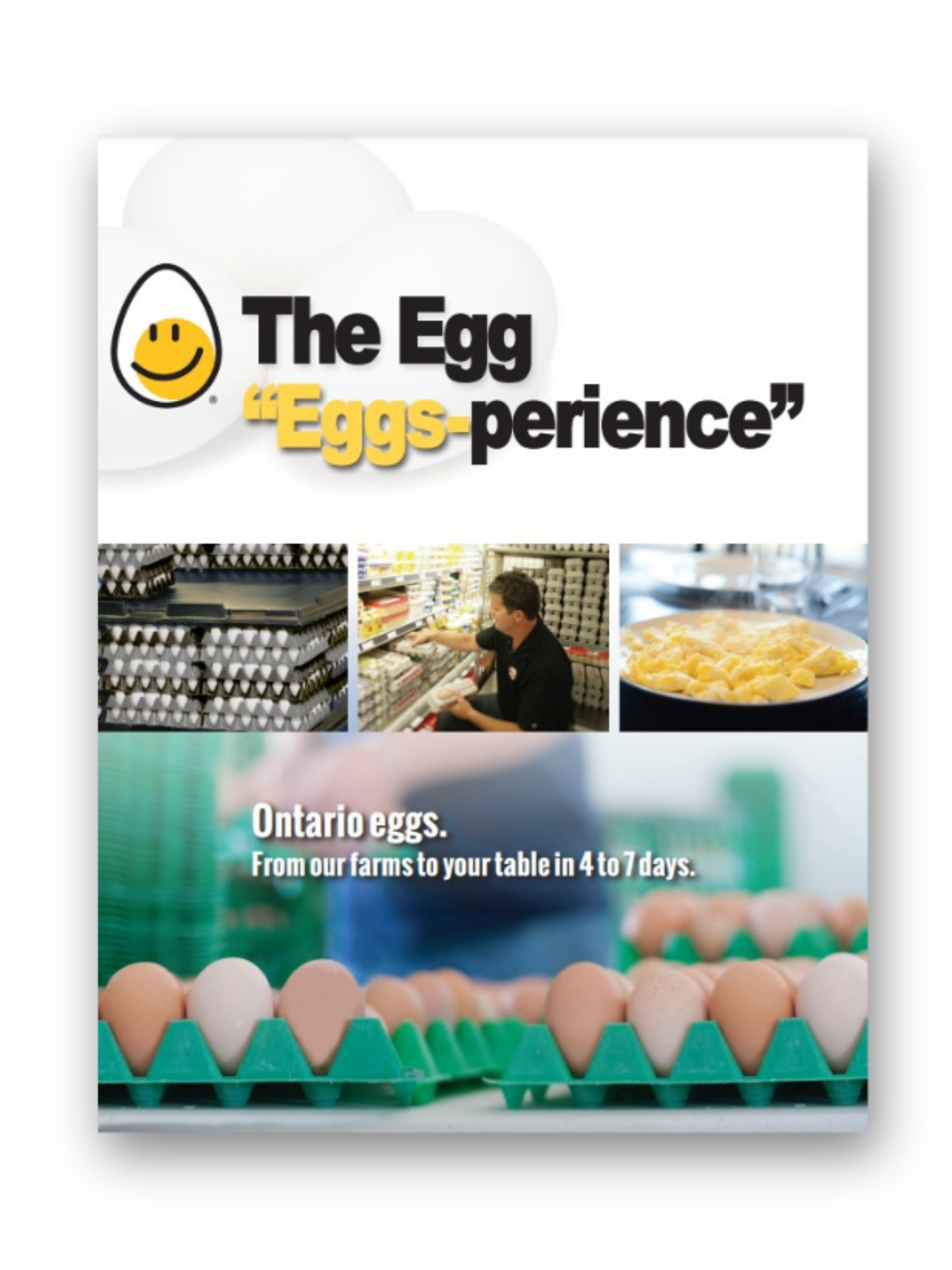 The Egg "Eggs-perience"