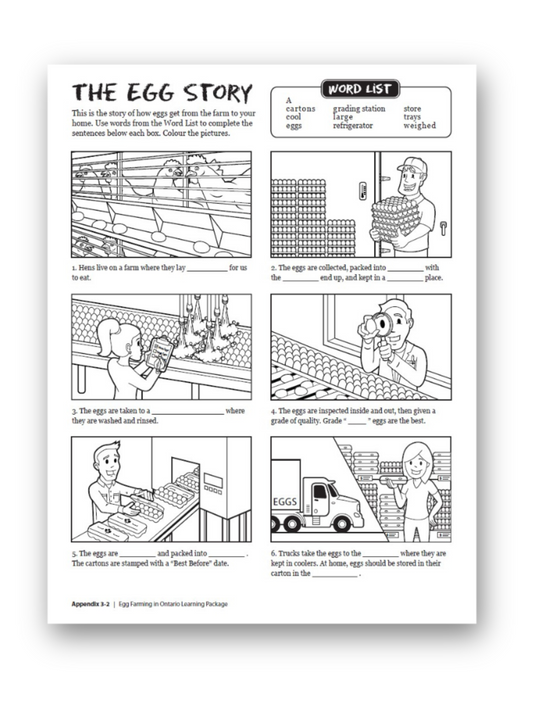 Egg Story Colouring Sheet (Grades 1 to 3)