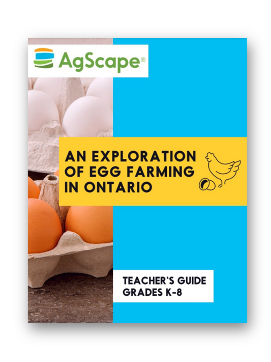 An Exploration of Egg Farming in Ontario